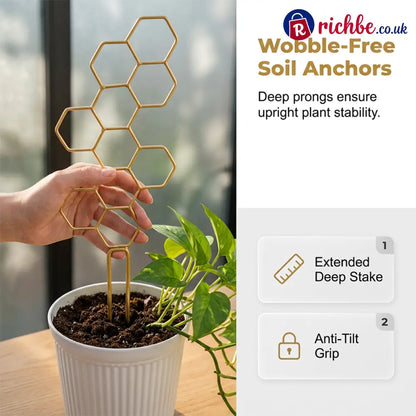 🌿Honeycomb Plant Trellis – Rust-Proof Stackable Easy Install 🐝 - Houseware & Kitchen