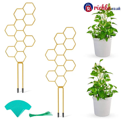 🌿Honeycomb Plant Trellis – Rust-Proof Stackable Easy Install 🐝 - Houseware & Kitchen