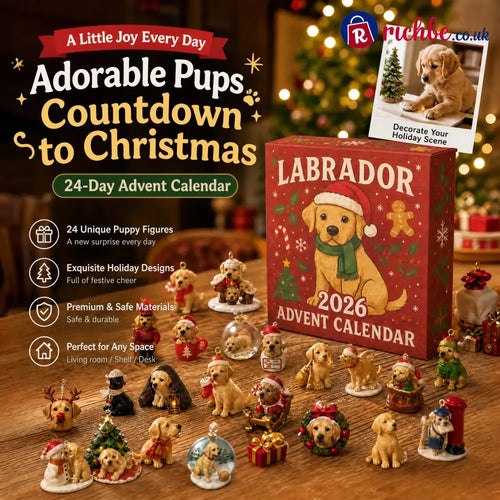 Labrador 2026 Advent Calendar