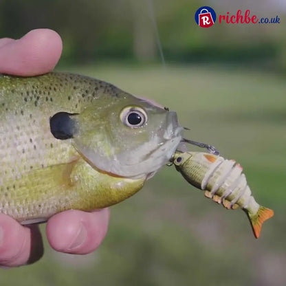 Lifelike Fishing Lures for Freshwater and Saltwate