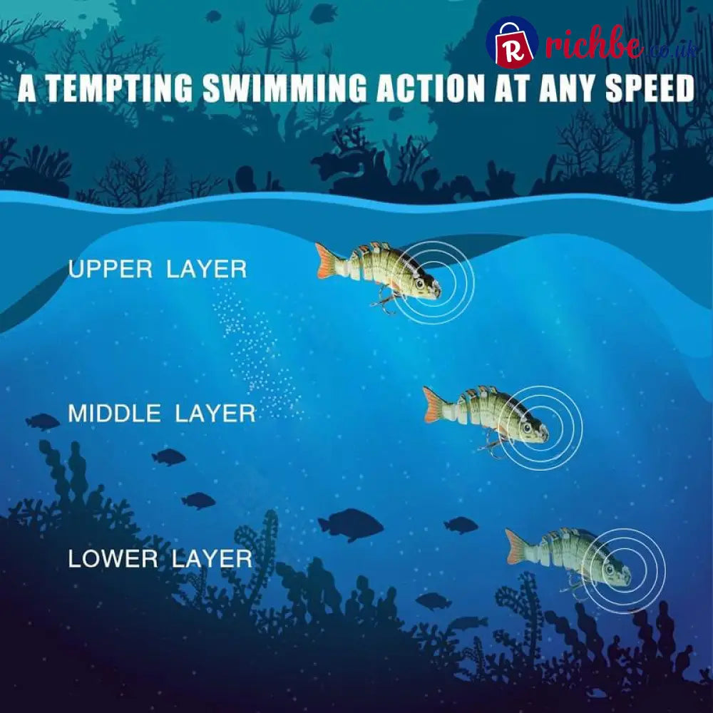 Lifelike Fishing Lures for Freshwater and Saltwate
