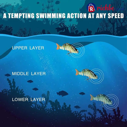 Lifelike Fishing Lures for Freshwater and Saltwate