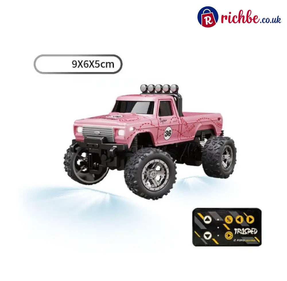 🔥OEIN Mini RC Monster Truck - Pink