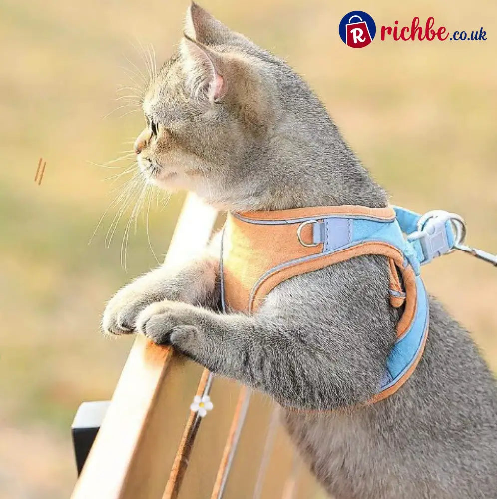 🐕 One Piece Pet Vest Leash – Adjustable & breathable mesh - Hot sale