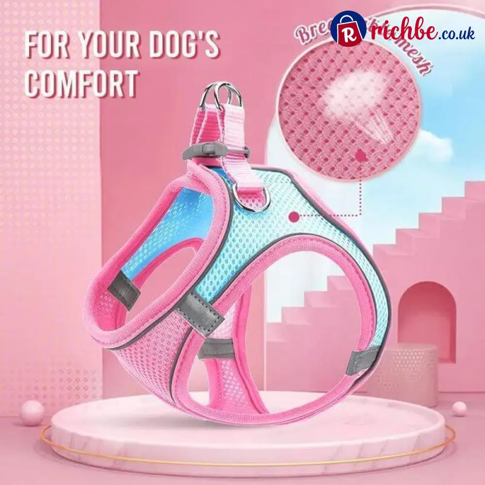 🐕 One Piece Pet Vest Leash – Adjustable & breathable mesh - Hot sale