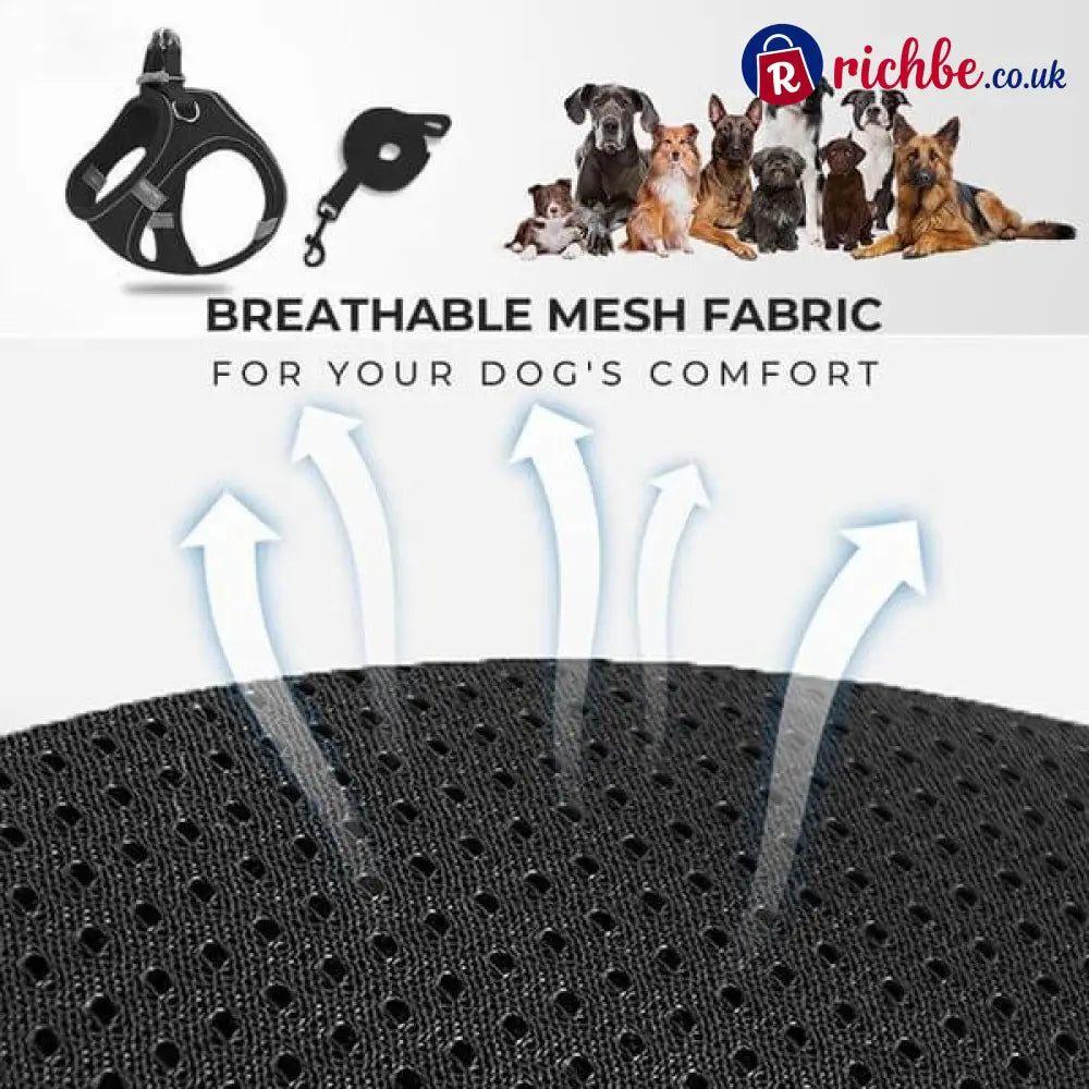 🐕 One Piece Pet Vest Leash – Adjustable & breathable mesh - Hot sale