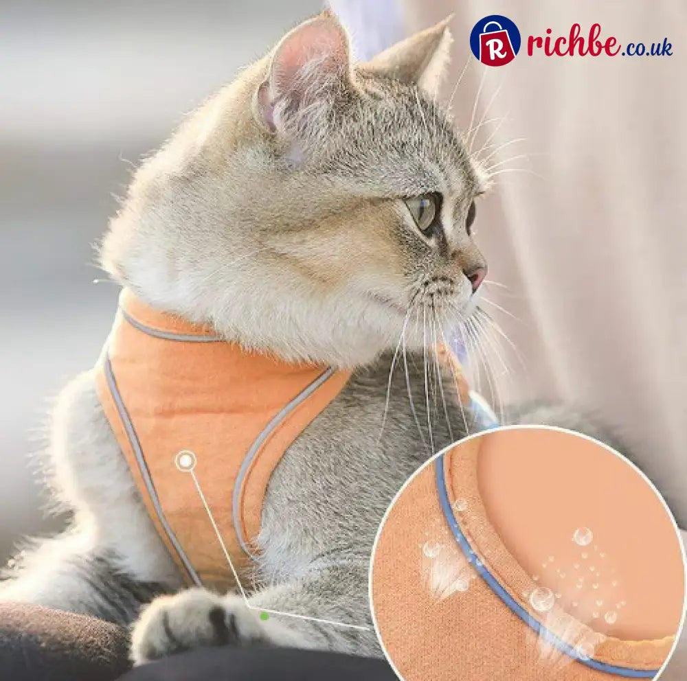 🐕 One Piece Pet Vest Leash – Adjustable & breathable mesh - Hot sale