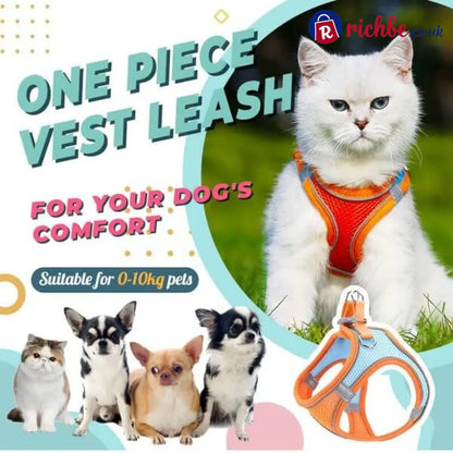 🐕 One Piece Pet Vest Leash – Adjustable & breathable mesh - Hot sale