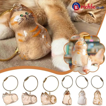 🐾Pet Hair Memorial Capsule Keychain