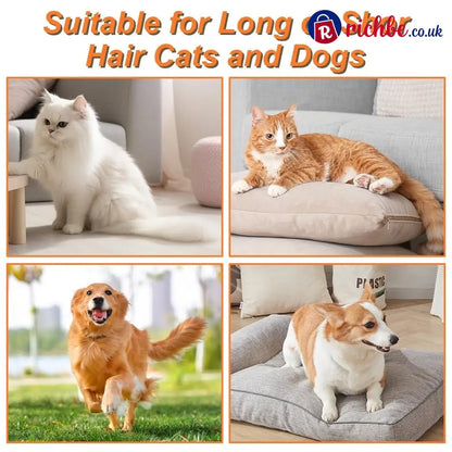 Pet Steam Brush