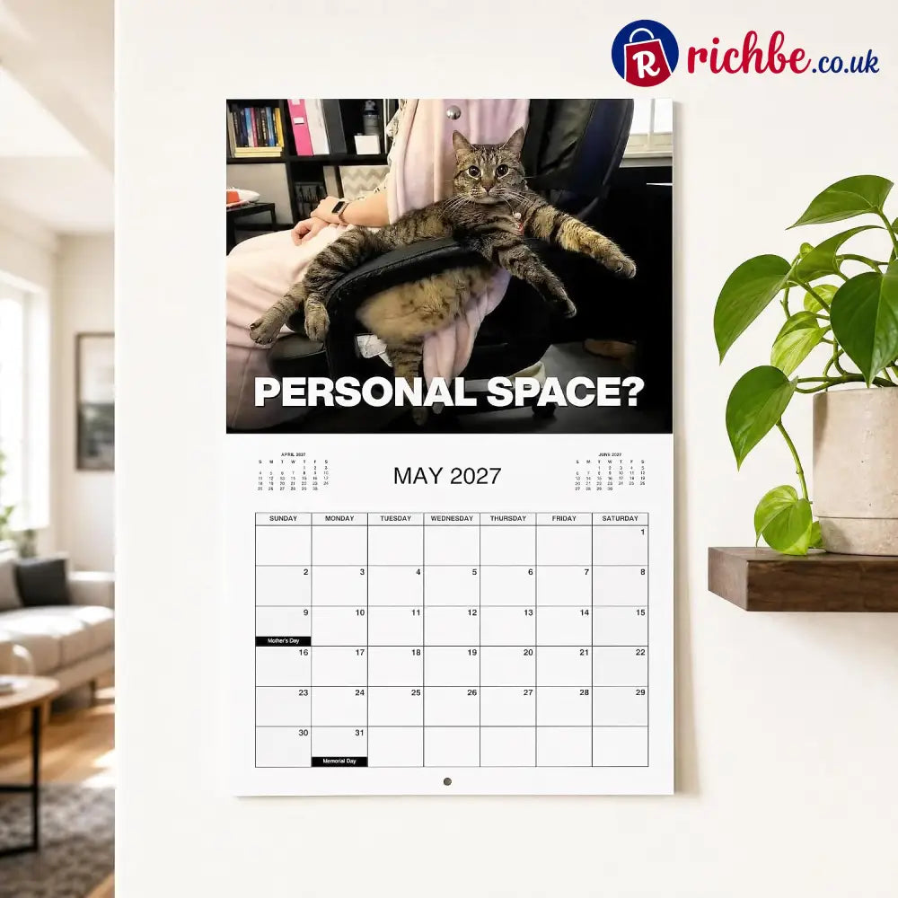 🔥PISSED-OFF CATS 2027 Wall Calendar - Funny Gift for Cat Lovers