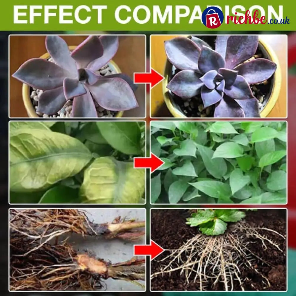 🌿 Plant Food Supplement for Greener Leaves Blooms & Garden Care - Tools & Gadgets