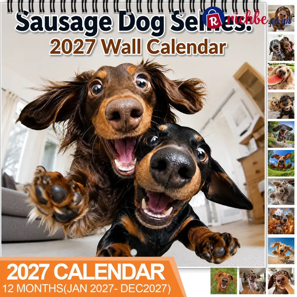 Sausage Dog Selfies 2027 Wall Calendar 🐶📸 - 2027 CALENDAR