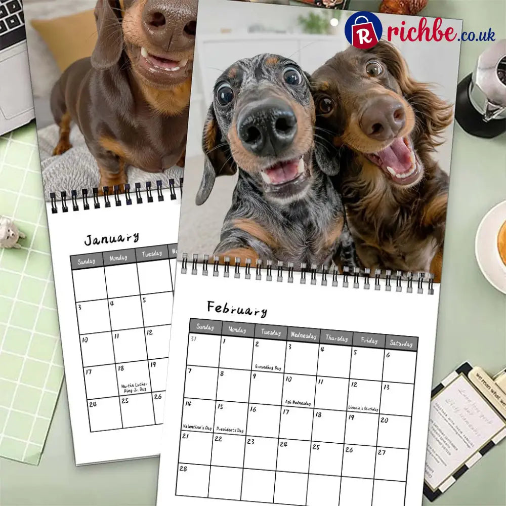 Sausage Dog Selfies 2027 Wall Calendar 🐶📸 - 2027 CALENDAR