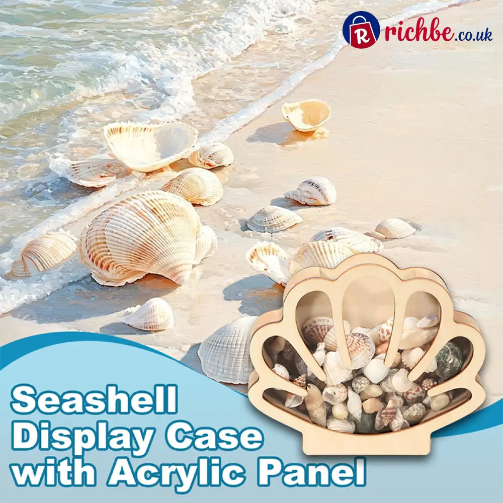 🦪 Seashell Display Case with Acrylic Panel 🌊 - Beige - Hot sale