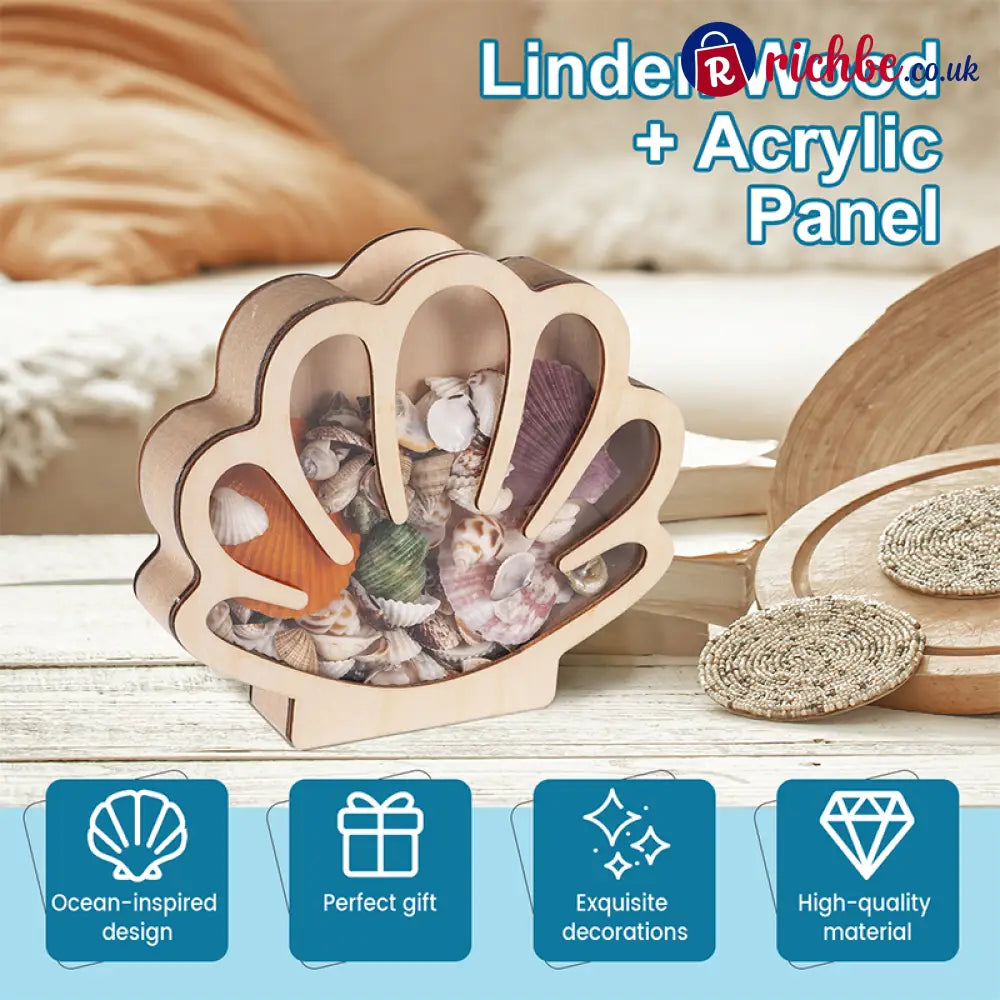 🦪 Seashell Display Case with Acrylic Panel 🌊 - Hot sale