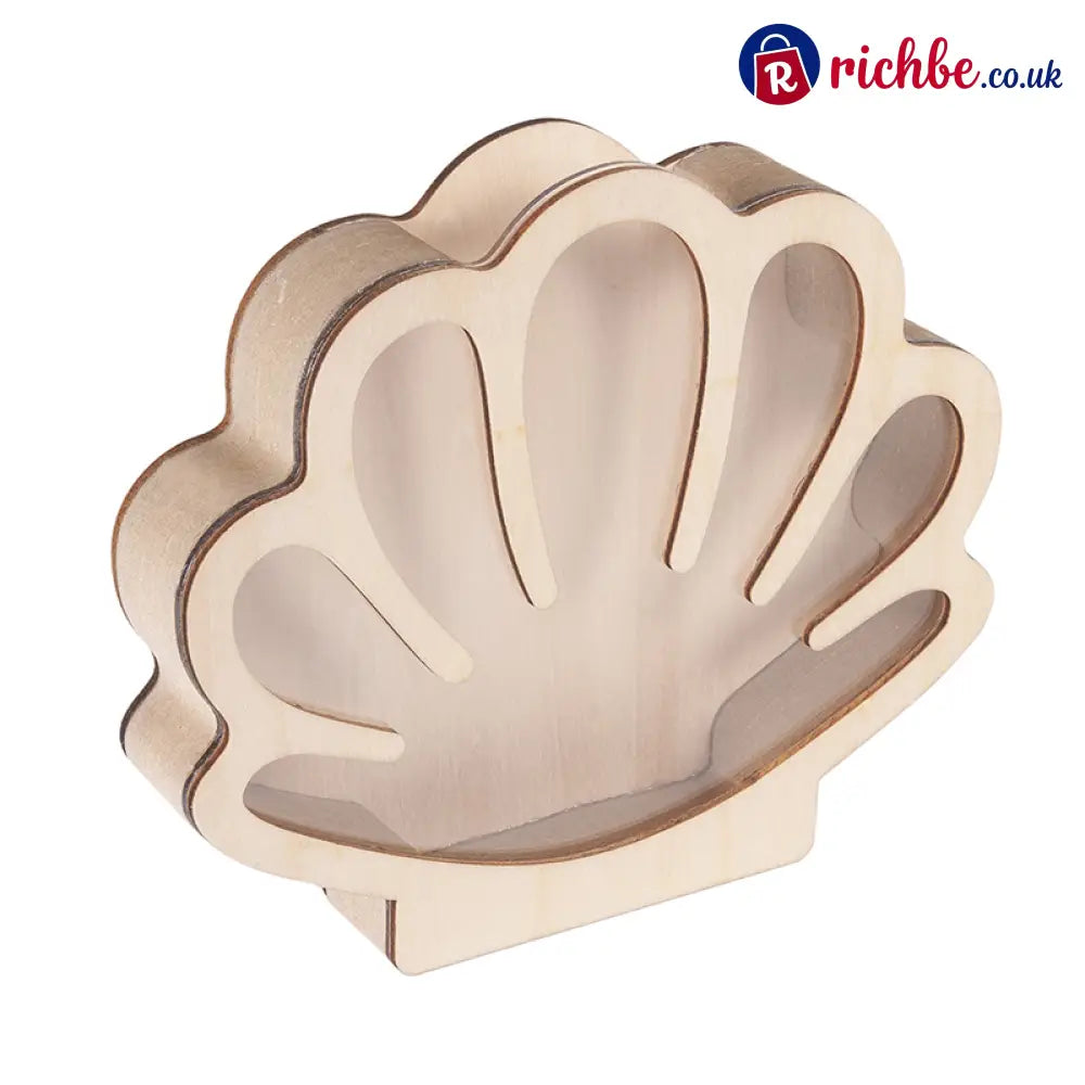 🦪 Seashell Display Case with Acrylic Panel 🌊 - Hot sale