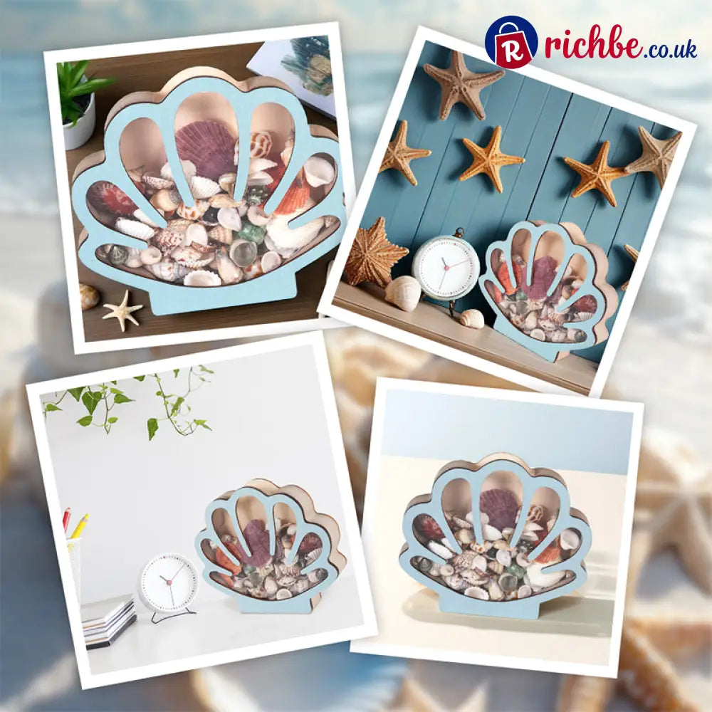 🦪 Seashell Display Case with Acrylic Panel 🌊 - Hot sale
