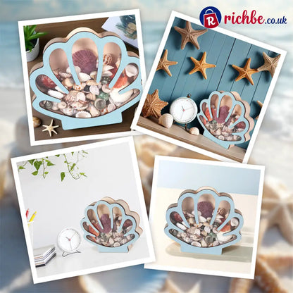 🦪 Seashell Display Case with Acrylic Panel 🌊 - Hot sale