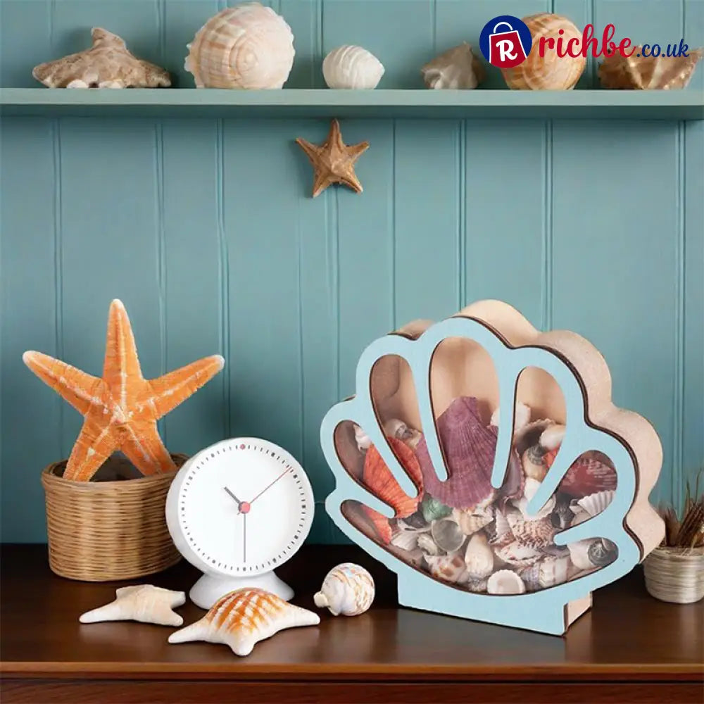 🦪 Seashell Display Case with Acrylic Panel 🌊 - Hot sale