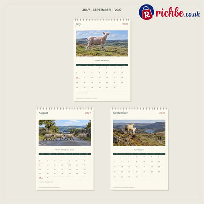 🔥Sheep With Places to Be - 2027 A4 Wall Calendar