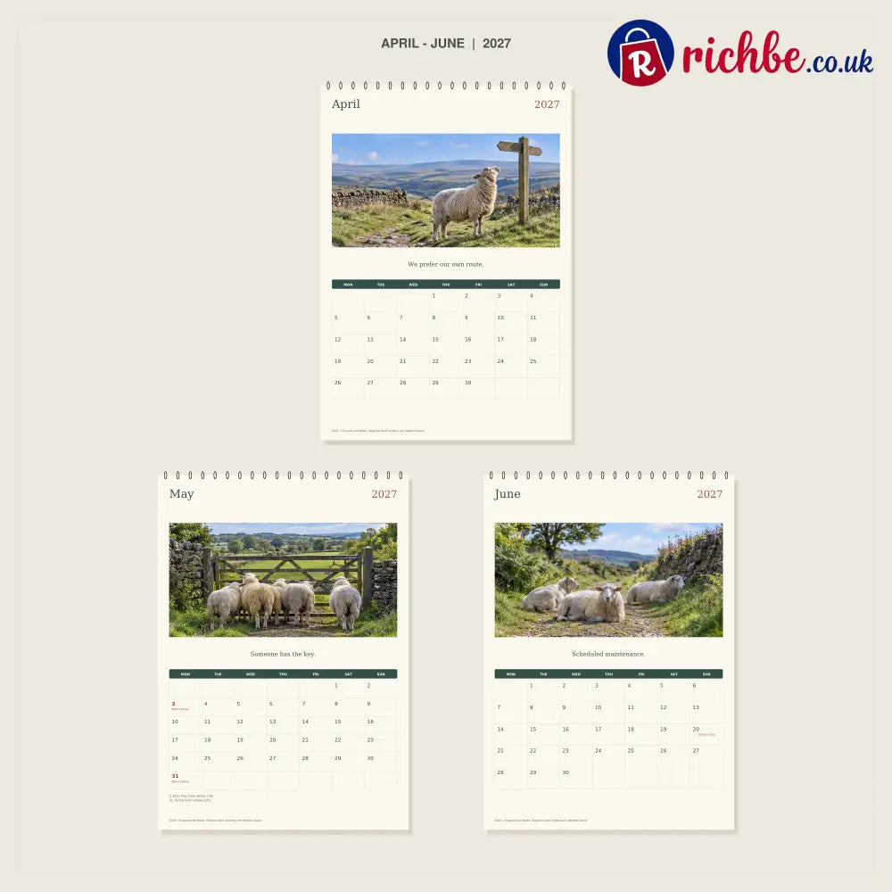 🔥Sheep With Places to Be - 2027 A4 Wall Calendar
