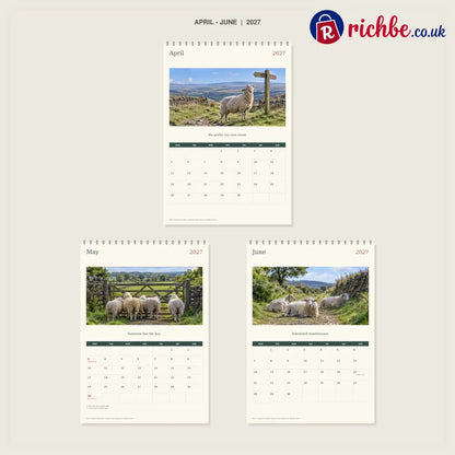 🔥Sheep With Places to Be - 2027 A4 Wall Calendar