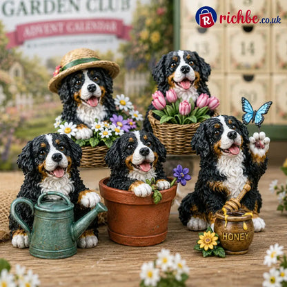 🎄 Shetland Sheepdog Advent Calendar 2026