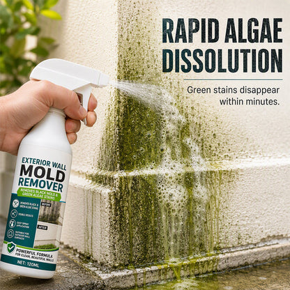 🧽50% OFF NOW! Fast‑Acting Wall Mold Remover Spray, Deep Penetrating Exterior Wall Cleaner, Efficient Black Mold & Green Algae Stain Remover for Outdoor Wall Surfaces