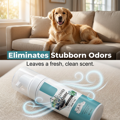 🧼40% OFF NOW! Lift Stains Instantly! No-Rinse Quick-Dry Fabric Foam Cleaner‑Portable Upholstery Stain Remover for Sofa, Carpet & Fabric Cushions
