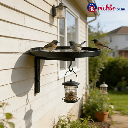 Wall-Mounted Metal Bird Bath – Antique Bronze Finish 🐦🛁🧱🏡 - Housewares & Kitchen
